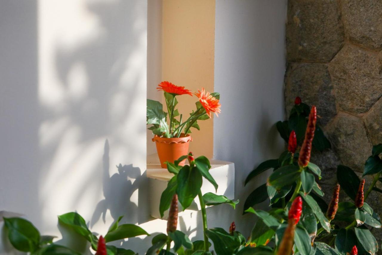 Prima Villas Karon Phuket Ban Karon Екстериор снимка